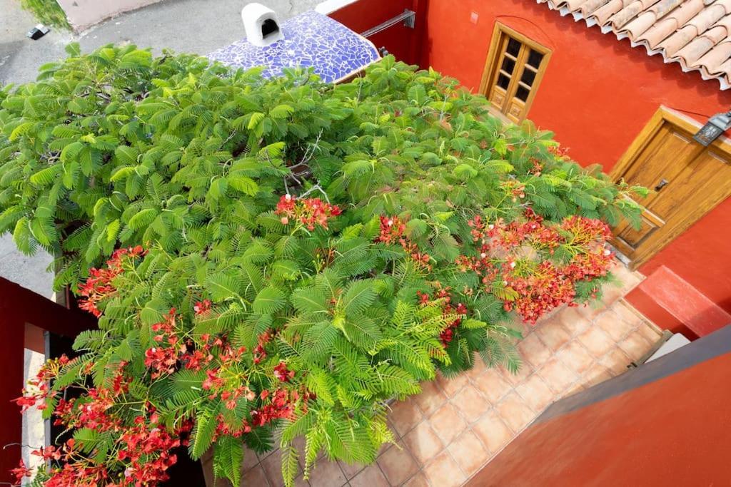 Rural House With Traditional Architecture S. XIX Santa Cruz de Tenerife Exteriör bild